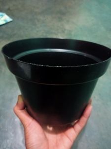 pot bunga ukuran 20
