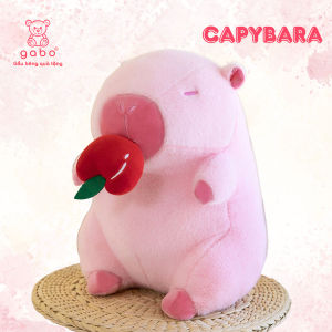 gấᴜ nhồi bông Capybara rút trái cây chuột lang hồng rút táo có dây rút quà tặng valentine cute K10T2