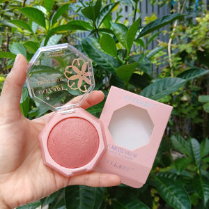 Má Hồng Bắt Sáng Có Nhũ Any Lady Hàng Nội Địa Trung 9gram