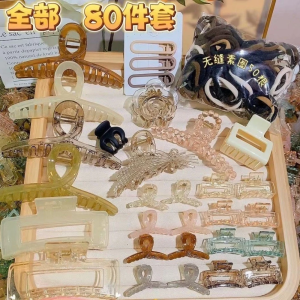mitch 80pcs Hair Set Accessories Ponytails Hair Clip Different Design Hair Clamp