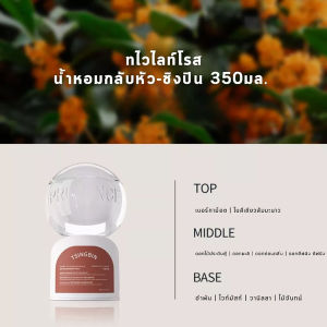 น้ำหอมปรับอากาศ อโรมาเธอราพี กลิ่นหอมติดทนนาน ตัวกระจายแสง 360° กำจัดกลิ่น หัวกลับด้าน ดับกลิ่นห้องน้ำ