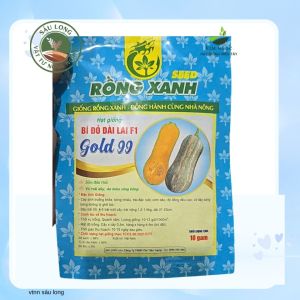 hạt giống Rồng Xanh BÍ đỏ Daid GOLD 99 GÓI 10GR