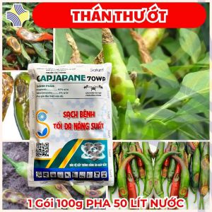 CAPJAPANE 70WP (Propineb + Tebuconazole) – Hỗ Trợ Kiểm Soát Thán Thư Đốm Nâu Cháy Lá Vàng Lá – Gói 100g Pha 10 Bình 25L