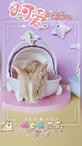 Trong Nhà Ngoài Trời Pet Nhà Thoải Mái Giường thú cưng nhỏ Nhựa Nhà cho thú cưng Vật Nuôi Cho Vật Nuôi Nhỏ