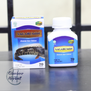 Kapsul Ekstrak Albumin Ikan Gabus kutuk Sagabumin