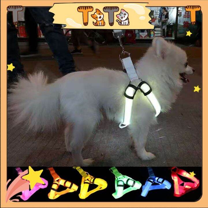 Chest led outlet dog harness