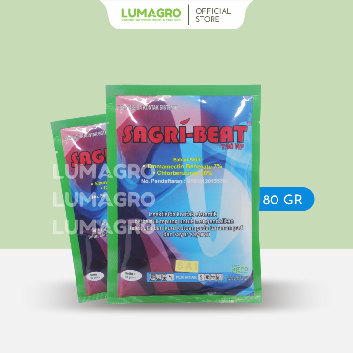 Porno er va xotin ikki juftlik