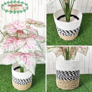 Pohon Artifiicial Pohon Hias Calladium Pink X18 Semilatex Cover Seagrass Hiasan Ruang Tamu Aesthetic