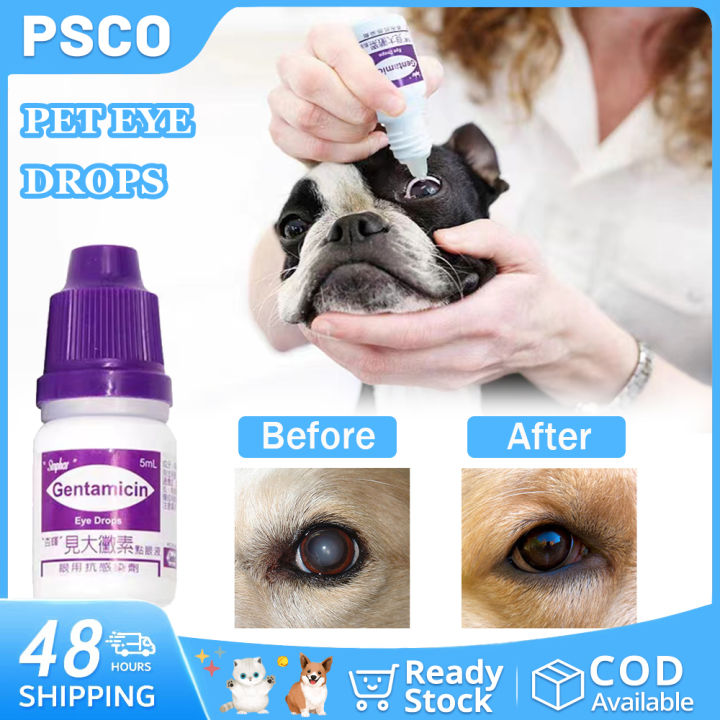 Gentamicin ophthalmic 2025 solution for dogs