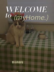 Quivlox Waterproof Tablecloth Oil Proof Wipe Clean PVC Checkered Dining Cover Kitchen Mat Desk Protector Taplak