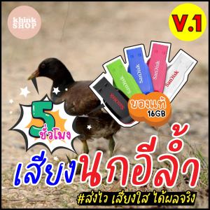 เสียงต่อนกอีล้ำ เมมเสียงนกอีล้ำ แฟลชไดร์ฟเสียงต่อนกอีล้ำ มีเก็บเงินปลายทาง