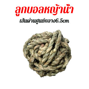 คุ๊กกี้ทิมโมธี ไผ่หวาน ไม้แอปเปิ้ล สำหรับสัตว์เลี้ยงฟันแทะ กระต่าย ชูการ์ แฮมเตอร์ แพรี่ด็อก ชินชิลล่า กระรอก ลับฟัน ของเล่นกระต่าย ขนมกระต่าย