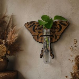 XUANY Home Ornaments Hydroponic Planter Shelf Wooden Vase Wall Mounted Planter Minimalist Butterfly Shape Planter Holder Indoor Plants