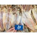 [Giao Nhanh HCM] Mực Khô Câu Phan Rang Loại I - Size 8-12 con/kg( Túi 500Gr). 