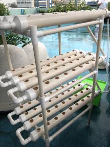 Elevate Your Gardening Game With Our Revolutionary 3 Layer Hydroponic System