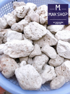 (Vật Liệu Lọc) 1Kg Đá Lông Vũ Nham Thạch Trắng Đá Núi Lửa Cho Hồ Cá Cảnh Vật Liệu Trồng Cây