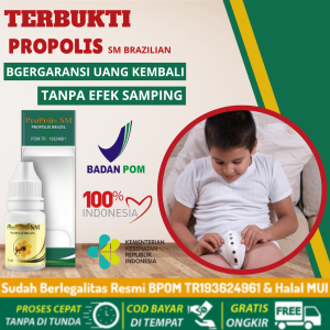 Obat Pengering Luka Sunat Luka Bakar Luka Jatuh Luka Koreng Luka Nanah Bernanah Budug Luka Korengan Luka Sunat - Propolis SM