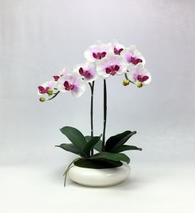 กระถางดอกไม้ประดิษฐ์ ดอกกล้วยไม้จัดในกระถางเซรามิคสีขาว