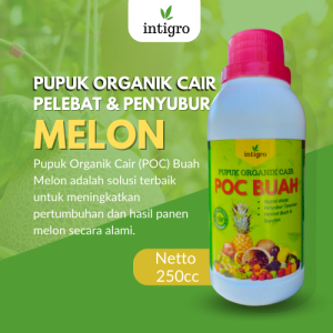 Pupuk Pembesar Buah Melon / Pupuk Cair Pembesar Buah Melon / Obat Penyubur Tanaman Buah Melon