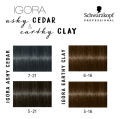 Schwarzkopf Igora Royal permanent color cream 60ml กลุ่มสีเทาสวยๆ น้ำตาลเบจเทา พร้อมตัวผสมสีแบบแบ่งบรรจุพร้อมใช้งาน ระบุสีก่อนสั่งซื้อนะคะ. 