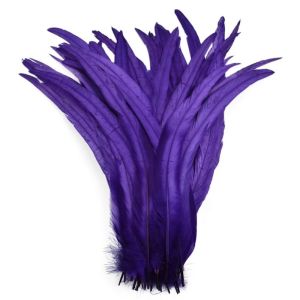 CONVENE MAXIMIZE64ZE3 20Pcs Decorative Feather Plumes Rooster Tail Feathers 25-30cm Length Natural Feather Natural Rooster Feathers  Smooth Surface Feather Jewelry Making Costume Accessories