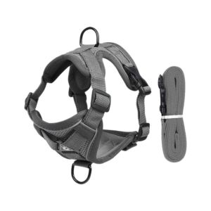 SIRENXI Phản quang Bộ dây đai và dây dắt cho mèo Có thể điều chỉnh Kiểu áo vest Dây đeo ngực không kéo Bằng chứng thoát hiểm Dễ thương Phụ kiện cho chó Ngoài trời