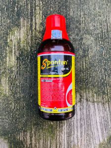 Insektisida sundep SPONTAN 400SL dari agricon mantap!!
