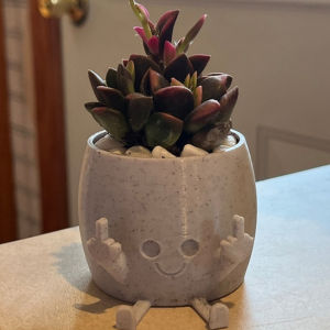 ⚡️Fast Delivery⚡️Cute Happy Planter Kawaii Succulent Planter Pot Flower Green Plants Pot Household Office Table Mini Decorate