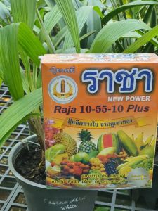 Phân bón Raja 10-55-10 Plus (MSP0550119) - Mai Huy -Kích thích ra hoa