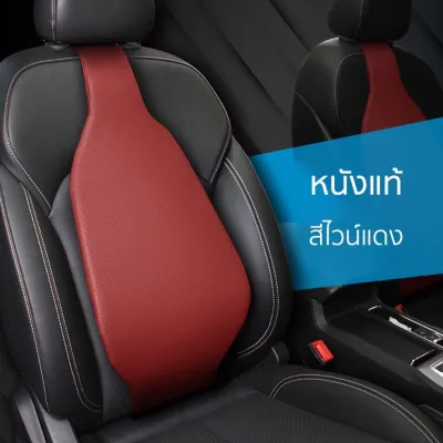 เบาะรองหลังเพื่อสุขภาพ (Airlumba) แอร์ลัมบา
