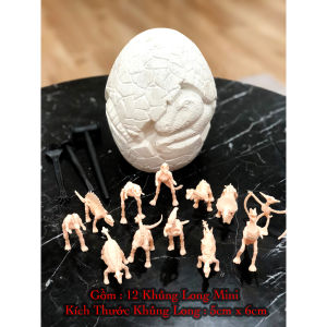 Giao nhanh 2h Bộ đồ chơi Đào Hóa Thạch Khảo cổ hình núi lửa phun trào xương hóa thạch khủng long và đá màu. (Kèm Bộ dụng Cụ)