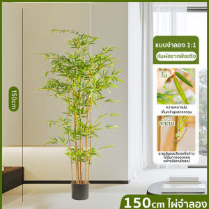 ต้นไผ่ปลอม ต้นไม้แต่งบ้าน ต้นไผ่ปลอมสวยๆ ติดทนทาน ประหยัดเวลา ไม่ต้องรดน้ำ พรวนดิน หรือใส่ปุ๋ย(90/120/150cm)
