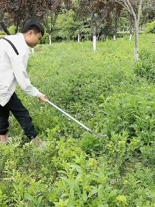 2in1เคียวแมงกานีส เคียวเกียวหญ้า แท้ มีดขอโค้ง มีดแมงกานีสแท้ มีดถางหญ้าคมๆๆ เคียวเหล็กแมงกานิส แมงกานีสเหล็ก