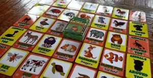 TERMURAH FLASHCARD anak / Flashcard binatang / Flashcard benda / Flashcard lawan kata / SHADOW FLASHCARD /Mainan edukasi anak / Kartu Edukasi Anak Pintar / kartu Pintar Balita / Mainan Edukasi Anak