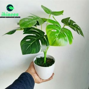 BUNGA MONSTERA POT DAUN MONSTERA DAUN ARTIFICIAL BUNGA PLASTIK TANAMAN ARTIFICIAL DAUN HIAS HOMEDECOR