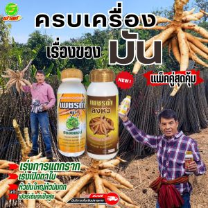 ชุดรวมเพชรดำแช่ท่อน เพชรดำลงหัว เร่งเปิดตาใบ เพิ่มการแตกราก หัวดก เพชรดำลงหัว(500cc)+เพชรดำแช่ท่อน(500cc)เพิ่มจำนวนหัวมัน ป้องกันเพลี้ยแป้ง