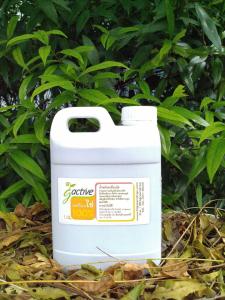 น้ำหมักฮอโมนไข่ ขนาด 1000 มล. ช่วยเร่งการเจริญเติบโตของพืช ต้นพืชแข็งแรง โตเร็ว และสมบูรณ์ ช่วยกระตุ้นการเกิดตาดอก เพิ่มจุลินทรีย์ในดิน ทำให้ดินร่วนซุย อุ้มน้ำได้ดี