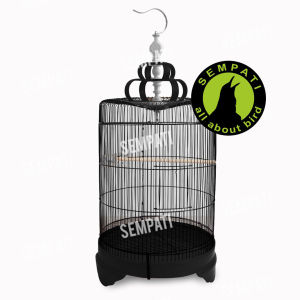 SEMPATI Sangkar Murai Jumbo Diameter 42cm Besi Import Sangkar Kandang Burung Murai Batu Besi Super Tebal Bukan Oriq Ebod Jaya Elitesong Elite Song Radja Sempati SMBS