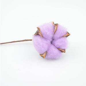 Bunga Kapas Cotton Flower Single Stem Dekorasi Hiasan Bunga Kering Bunga Palsu KB15