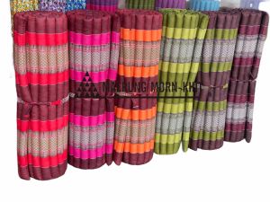 ที่นอนเพื่อสุขภาพสีคละสี/ลายรองรับทุกสรีระ ผ้าหนาอย่างดี ขนาด105x175x4cm. ของแท้ดั้งเดิม ไม่แท้ยินดีคืนเงิน3เท่า