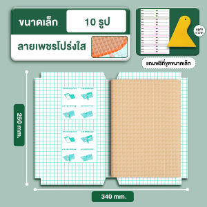 ถนอมหนังสือ 10/30 แผ่น ชิ้นปกหนังสือฝ้าโปร่งใสภา  สําหรับป้องกันหนังสือ อุปกรณ์การเรียน แถม‼️10ชิ้นสติกเกอร์ชื่อ