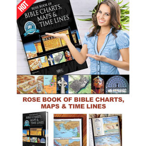 【Location Guide】Bible Charts Maps And Timelines Development Of Veins Flowerpot Decoration Decorative Appliances Pink And Gold Timeline Traditional Insert Decoration Office Decorations Flower Pots And Inserts Worship Exquisite