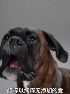 LZD  อาหารสุนัขรสกลมกล่อมเนื้อเป็ดฉลากทองแช่แข็ง 15kg5kg อาหารแห้งสำหรับสุนัขสำหรับสุนัขโต