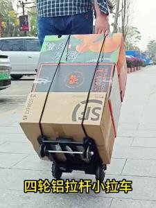 (SG Seller) Folding Hand Truck Aluminium Alloy Foldable Hand Cart Portable Luggage 4 Wheel Folding Trolley Cart PL115