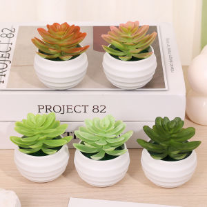 5Pcs 8.5cm Mini Simulated Cactus Succulent Plant Ornaments Fake Green Plants Artificial Potted Flowers Office Table Decoration