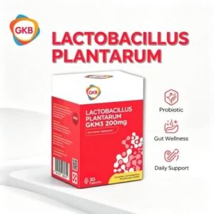 GKB Lactobacillus Plantarum GKM3 200mg Probiotic Capsules Daily Gut & Metabolic Wellness Supplement 30 Capsules