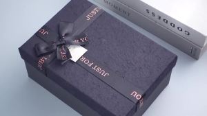 100 Gói Móc Treo Thắt Lưng Nhựa Đen Móc Treo Cà Vạt Số Lượng Lớn Dành Cho Nam Tổ Chức Tủ Quần Áo Lưu Trữ Bán Lẻ