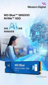 Western Data SSD M.2 PCIe4.0 for Notebook Desktop SSD 1T 2T SN5000