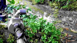 POMPA AIR KOLAM SAWAH TAMBAK DABSEL 2 INCH TERBAIK