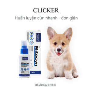 Thuốc trị nấm ve rận ghẻ chó mèo Alkin Mitecyn - Mọi dòng chó Poodle Pom Pug Corgi v.v. | BossDog
